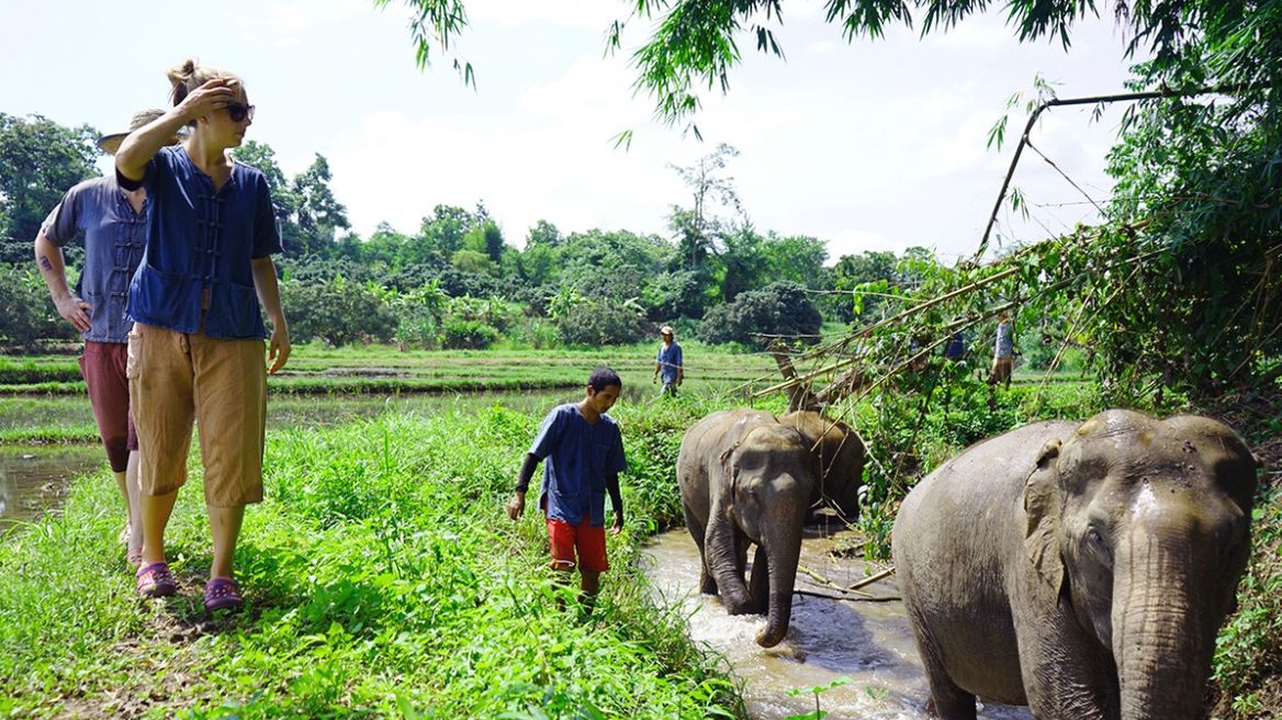 Lanna Kingdom Elephant Sanctuary 
