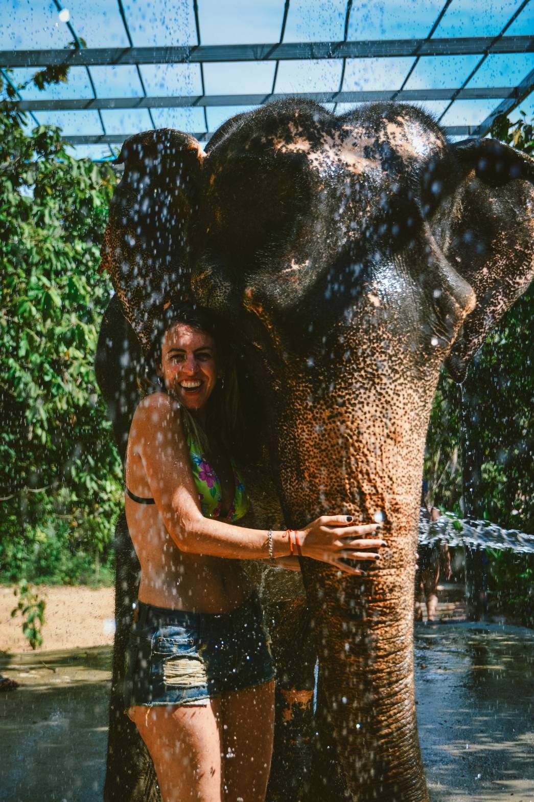Shower with elephant