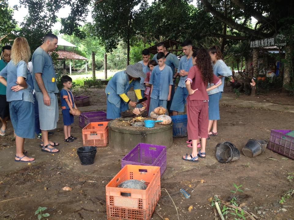 Preparing food for the elephants