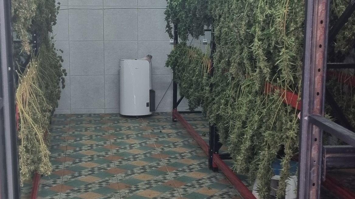 Experience our dry room