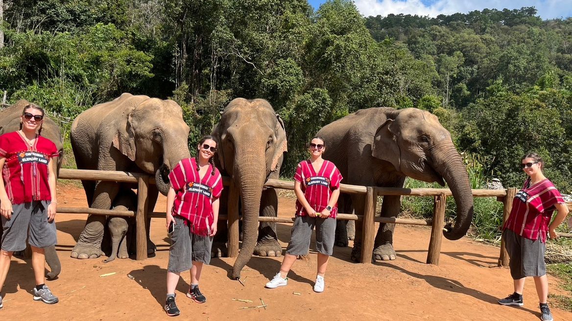 Small-group, ethical, and unforgettable full-day experience