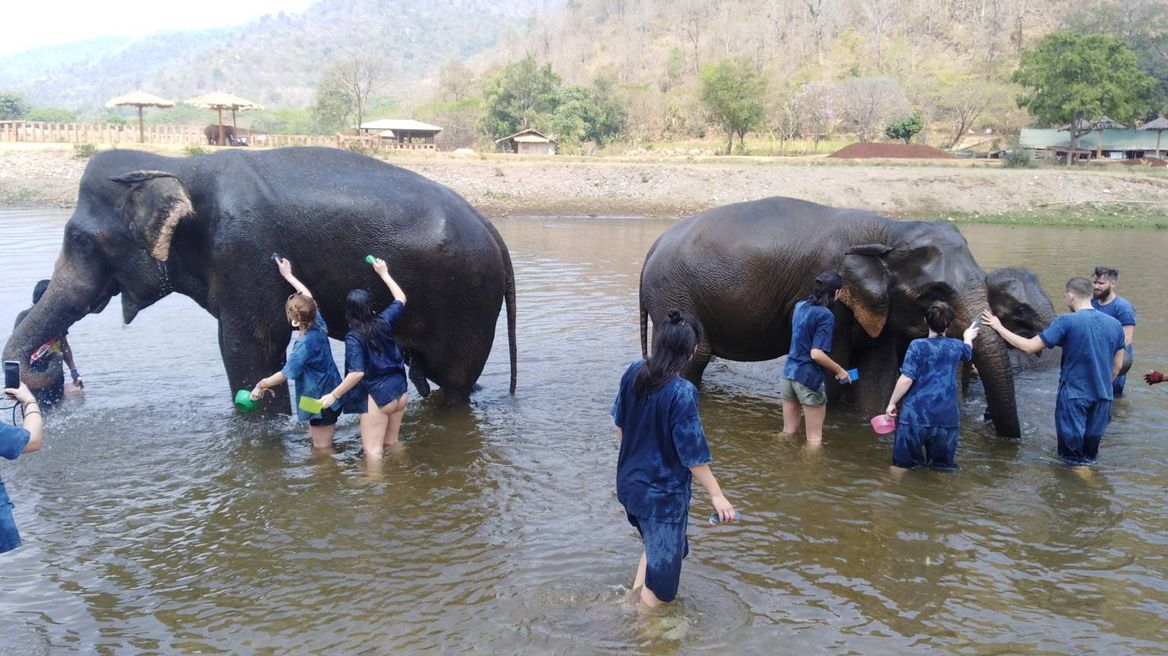 Bath with elephant.