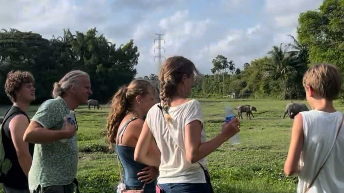 Step into the lush green fields where Thai swamp buffalo roam freely. Listen to their gentle snorts, feel the breeze, and experience a rare connection to local farm life.