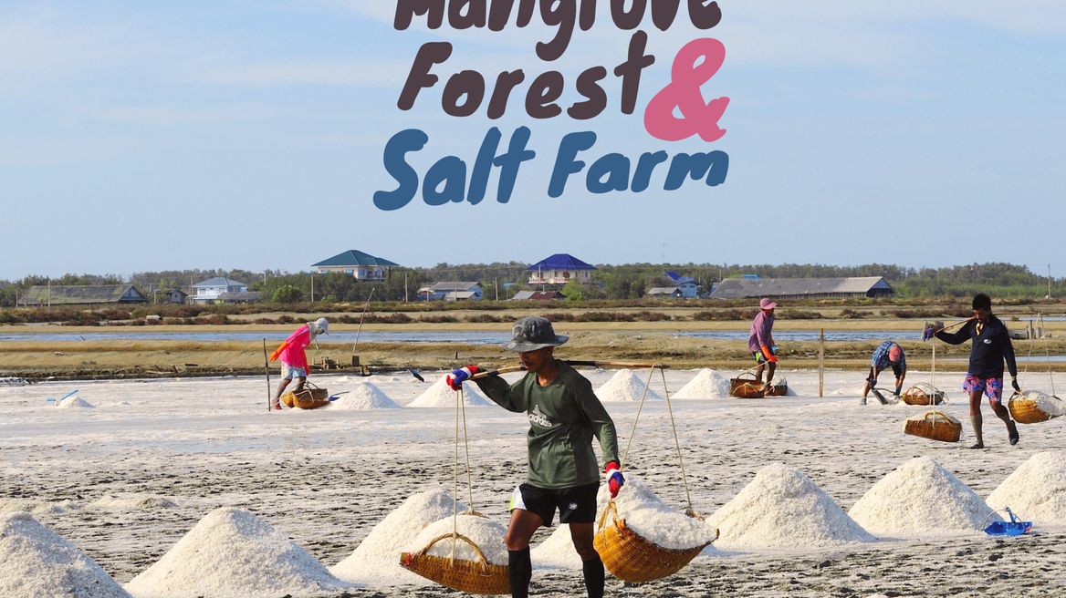 samut sakhon from bangkok: mangrove, salt farm & fisherman's village