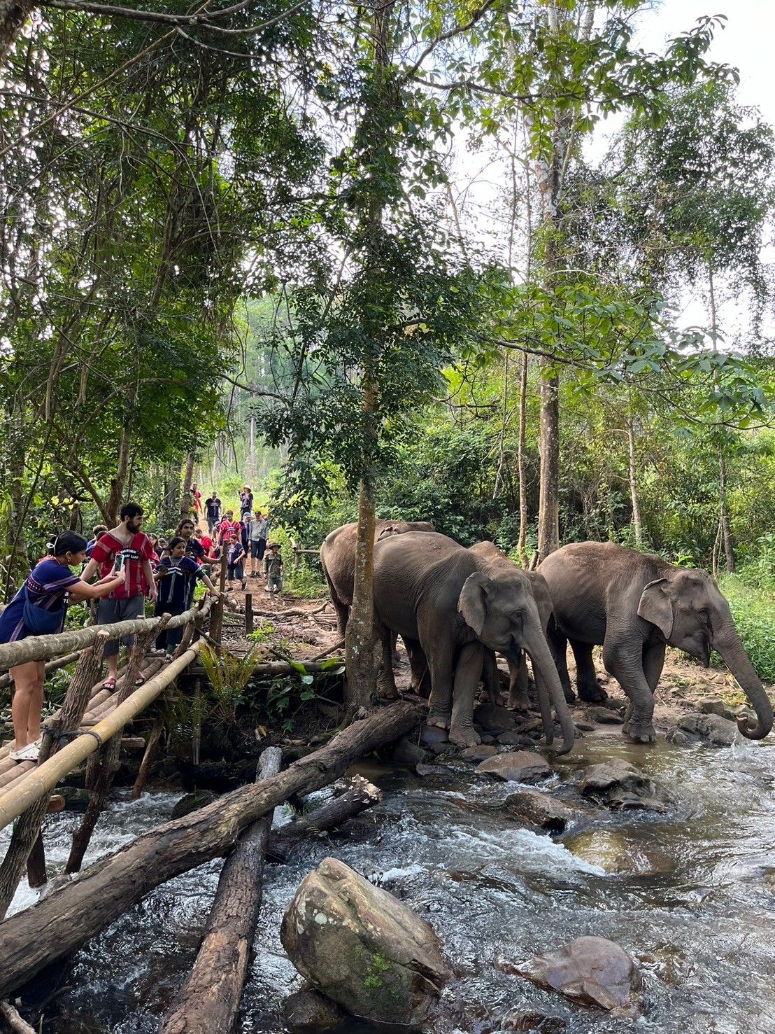 Short walk to a beautiful mountain spring waterfall for a refreshing swim and photo opportunities.