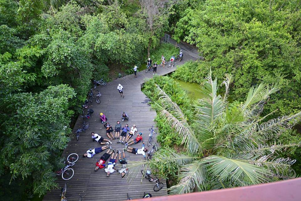 Bike Tour Of Bangkok s Green Lung Bang Krachao TakeMeTour