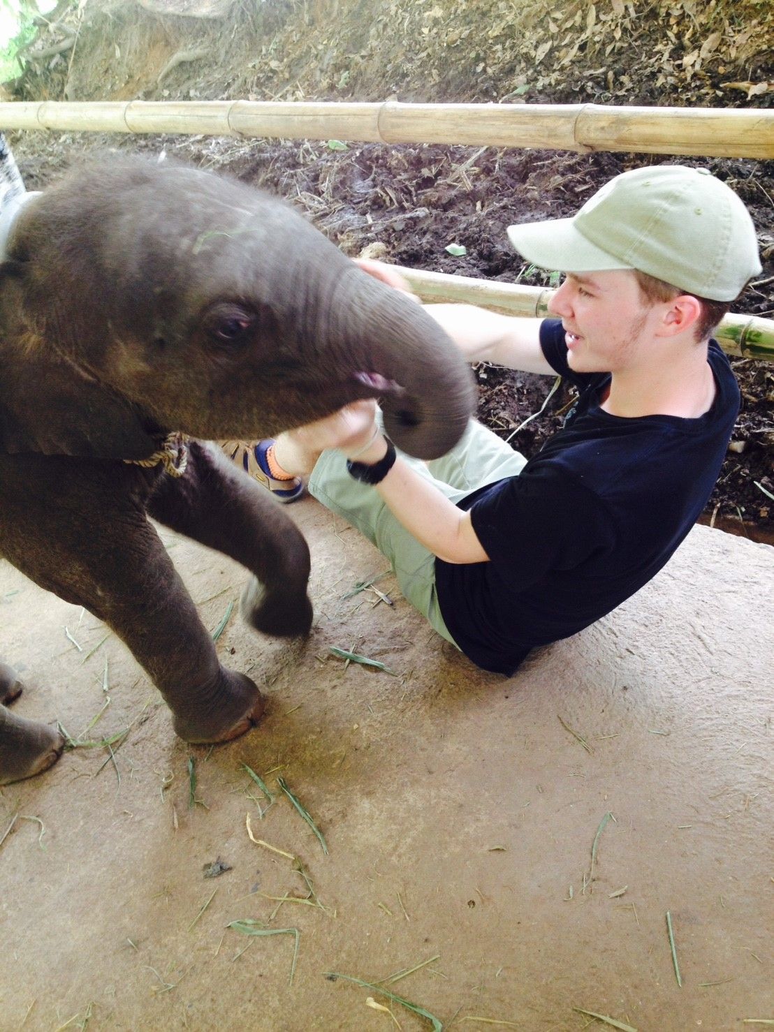 Feeding baby elephant