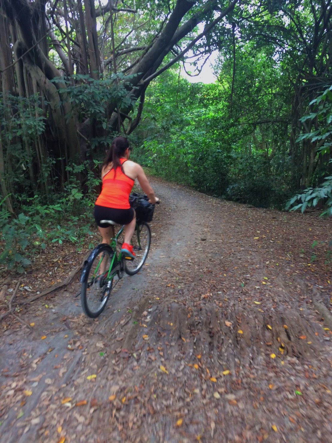 Cycle Trip through Nature Trail in Bangkok
