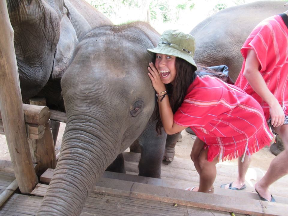 Selfie with elephants