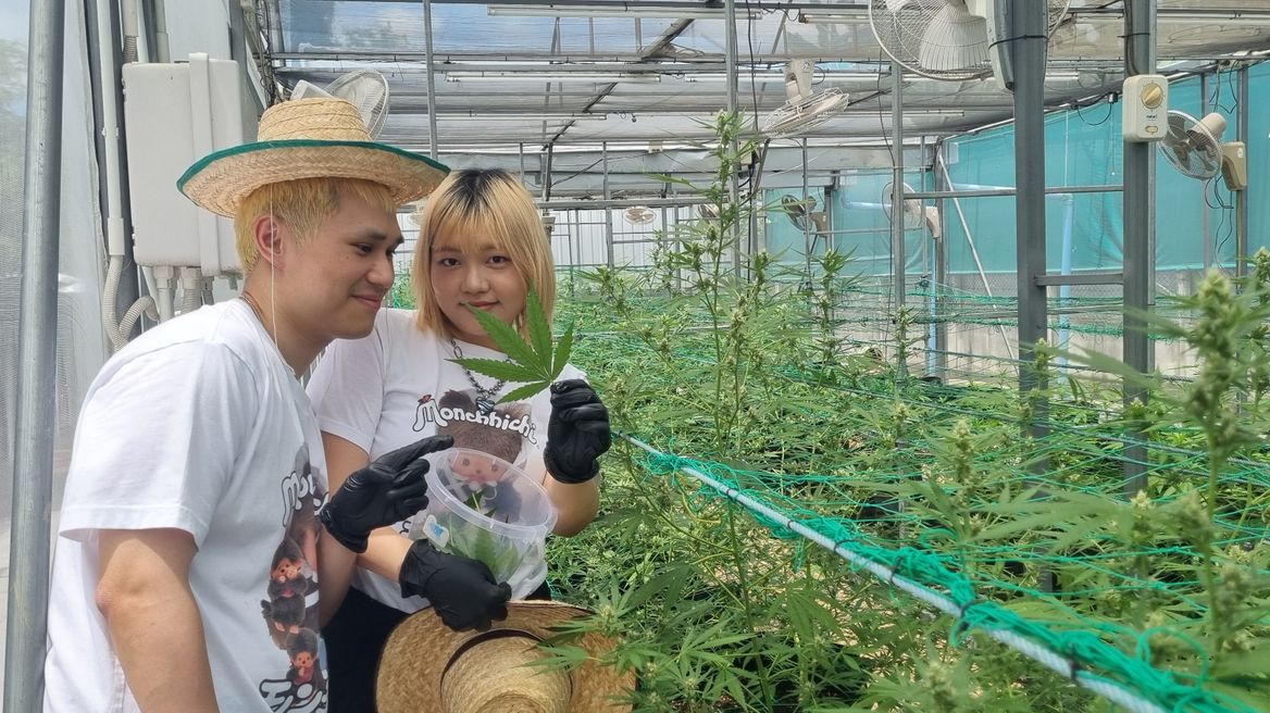 Defoliating our flowering plants