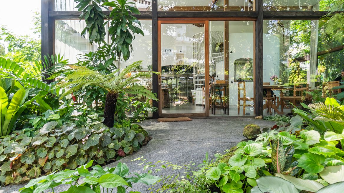 Patom Organic Living