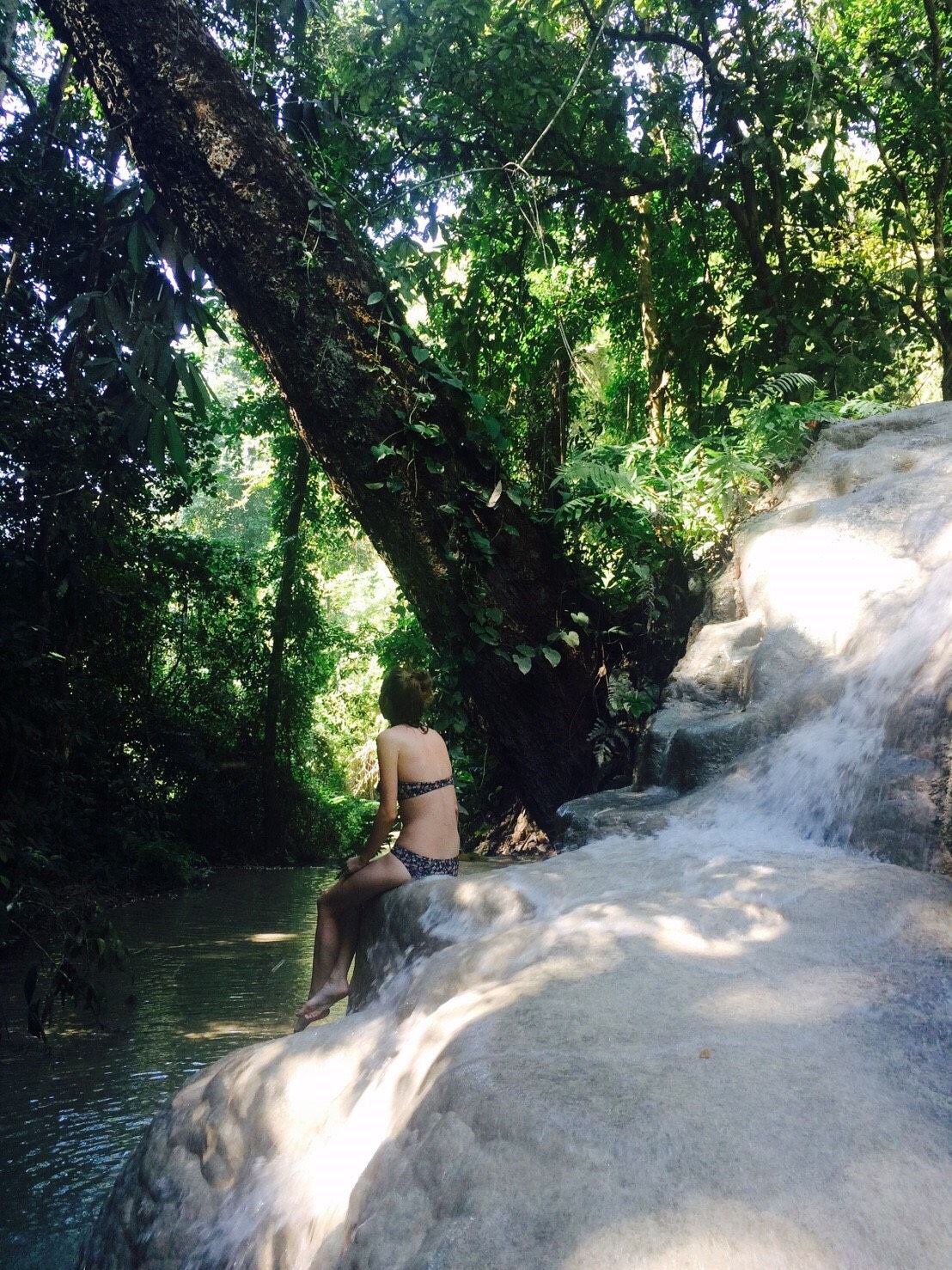 Bua Tong Sticky Waterfall Tour