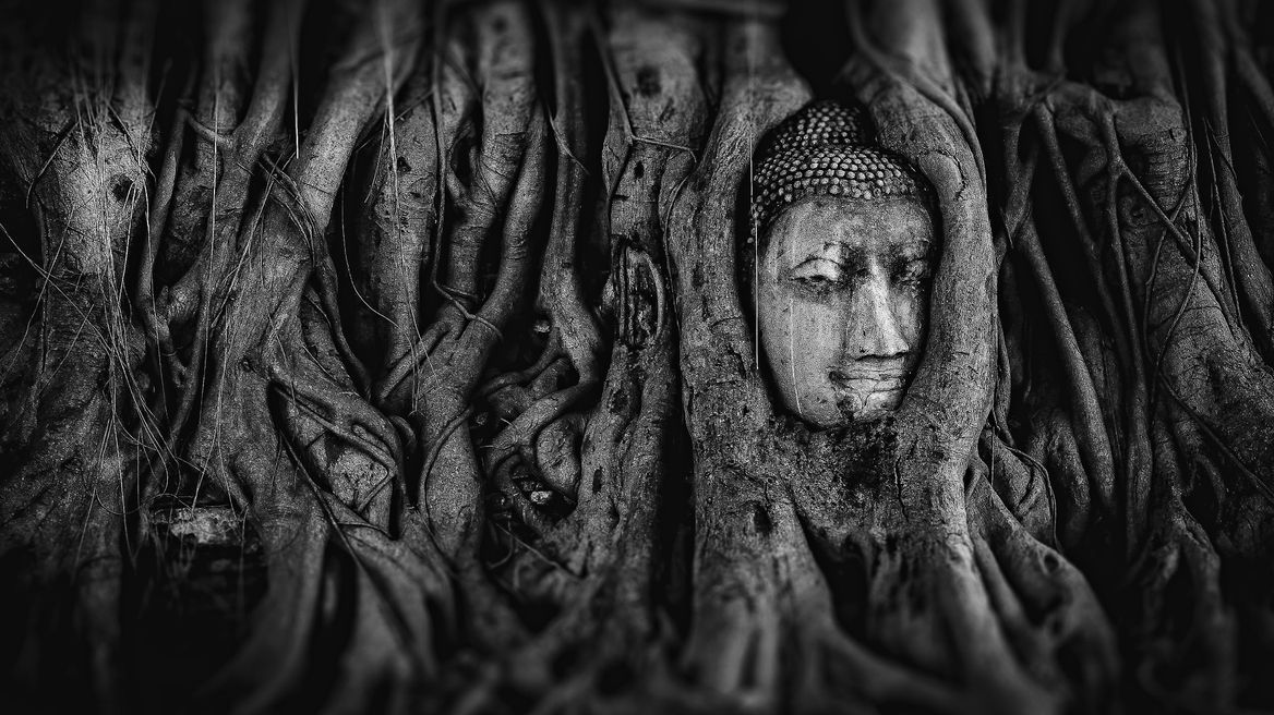 Buddha Head in Tree Roots at Wat Mahathat
