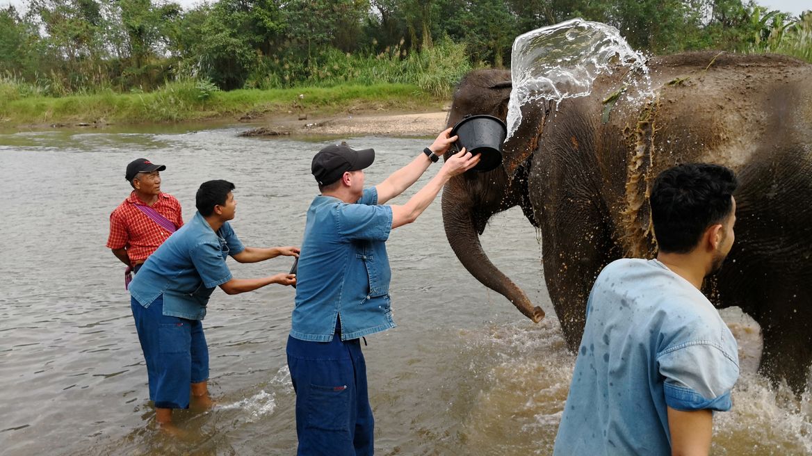Bathing elephants in Ping River.
