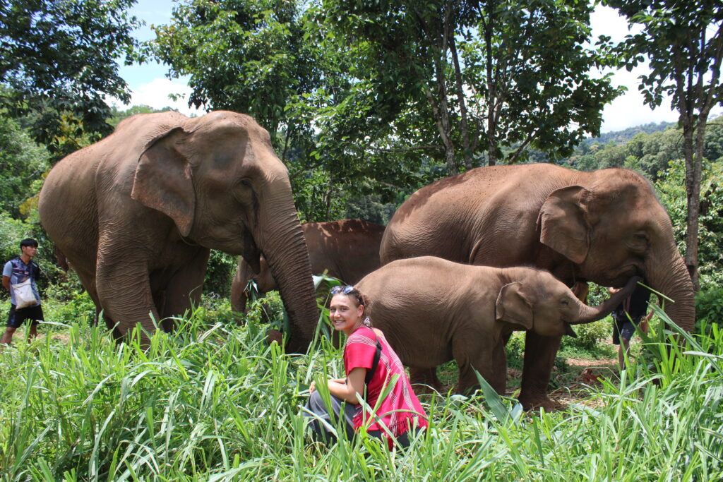 Just hanging out with the locals. 🌿✨ Feeling tiny next to these beautiful creatures. I could have stayed in this jungle watching them snack all day. Best day ever!