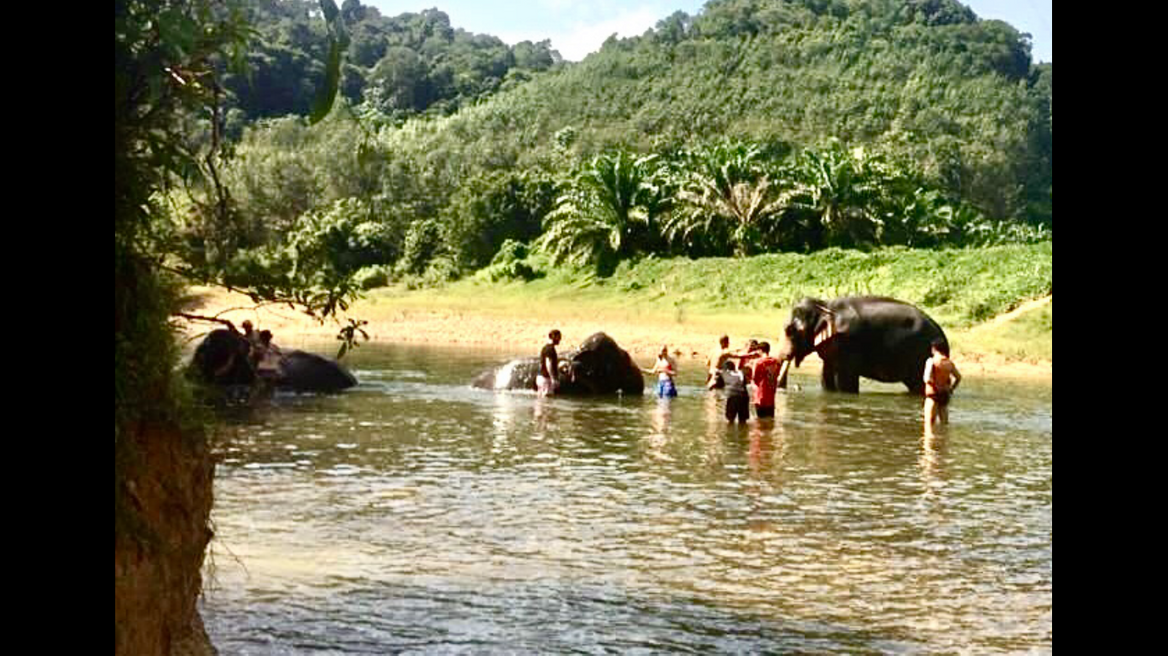 Bath yourself and elephant in fresh water in river