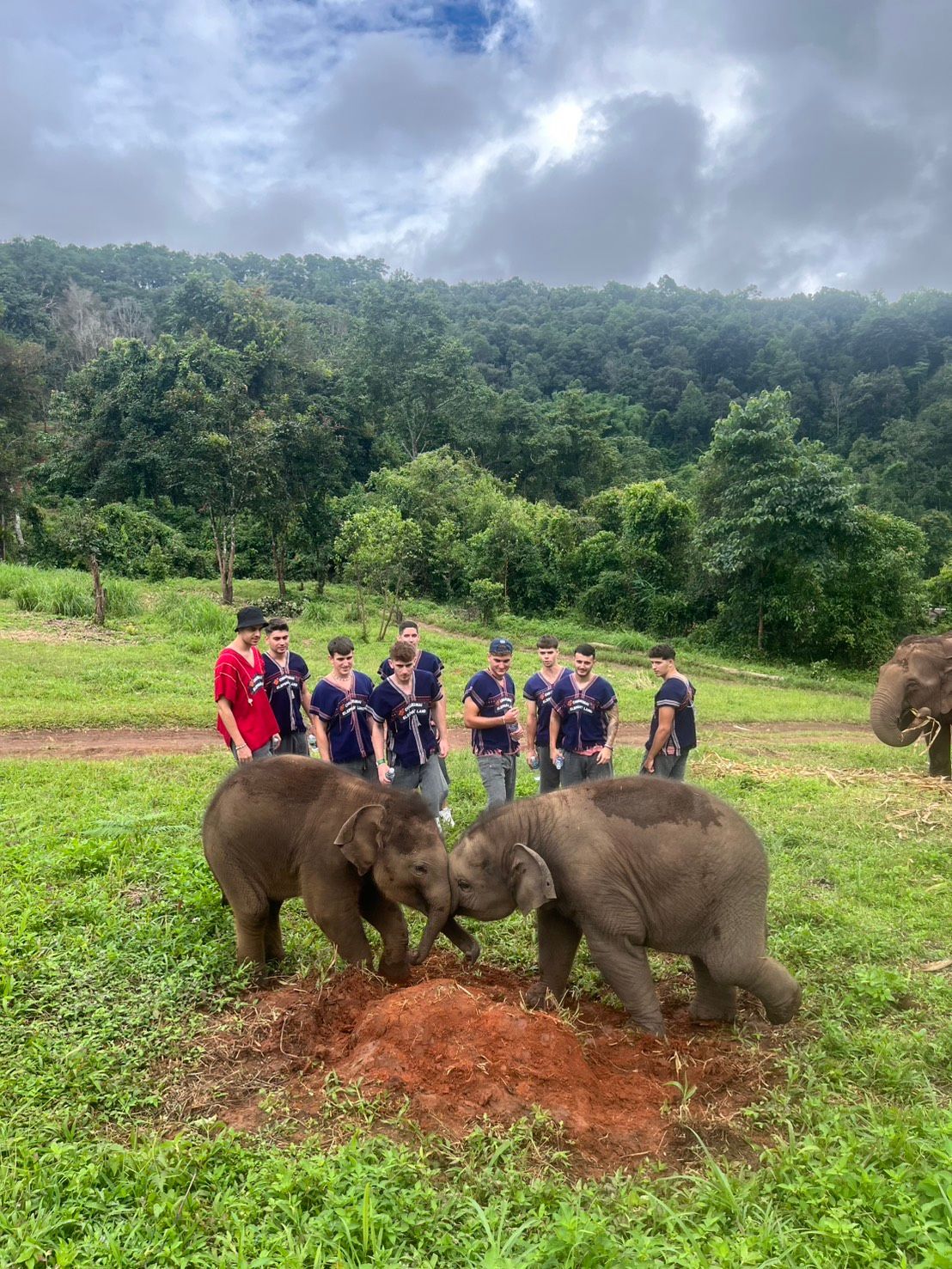 Meet the elephants and enjoy feeding, playing, and taking photos with them