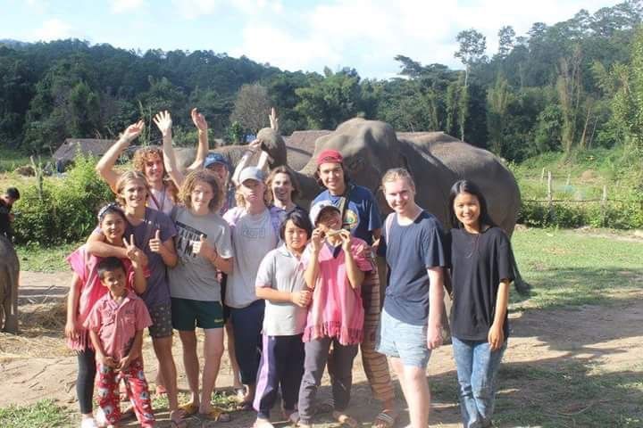 Doi Intanon Elephant House