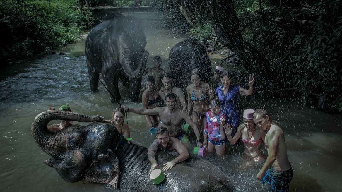 Chiang Mai Tour: Ethical Elephant Care