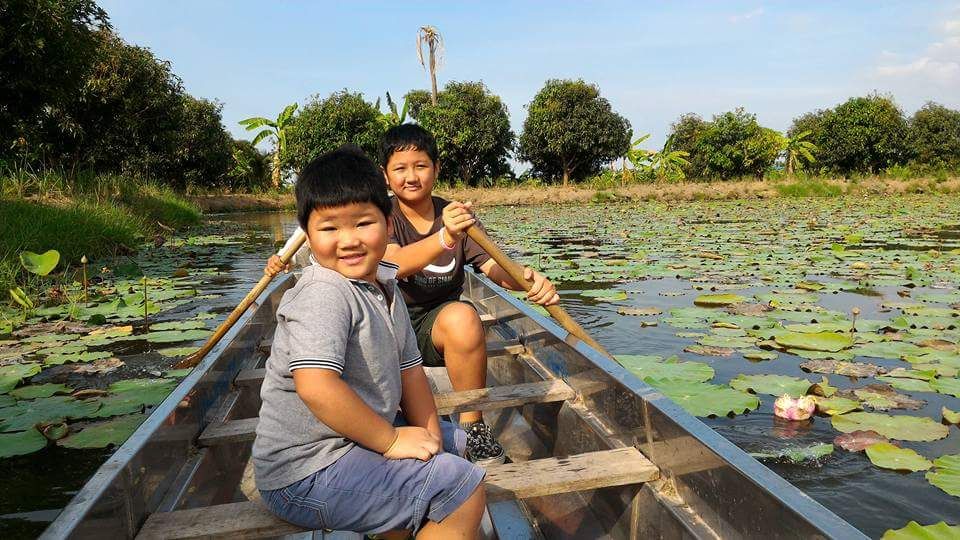 Enjoy their time paddling in the lotus pond.