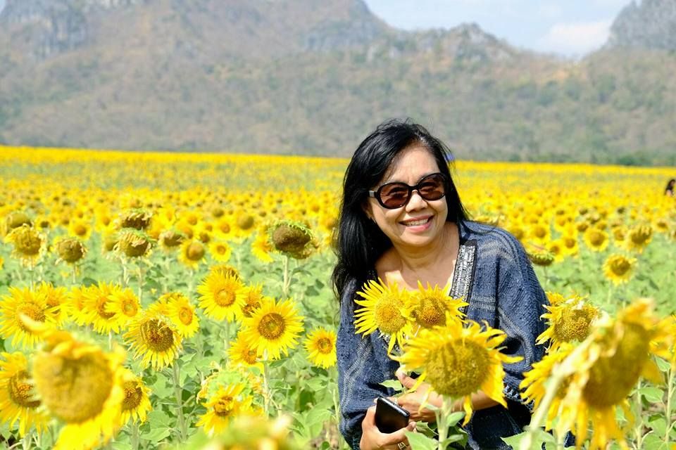 Sunflower Field near reservoir