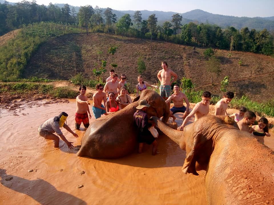 Chiang Mai Ethical Elephant Sanctuary