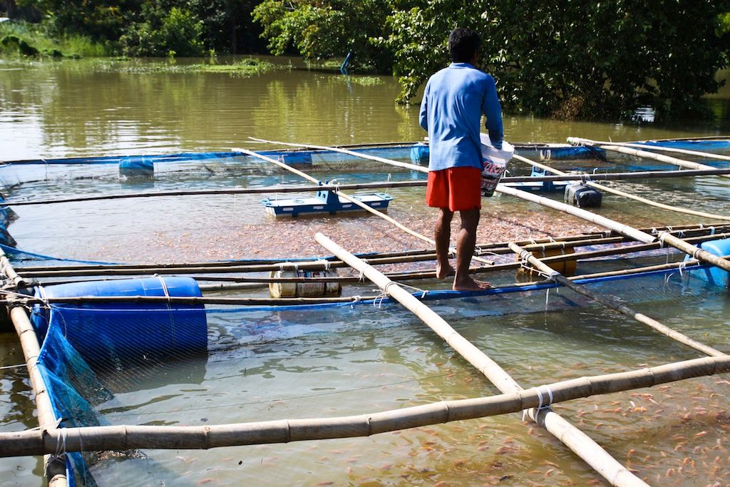 hot springs, seafood and fish farm in ranong