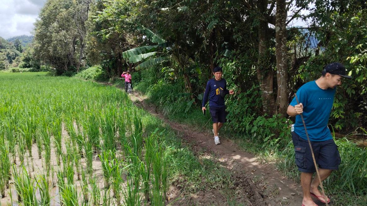 Enjoy hiking