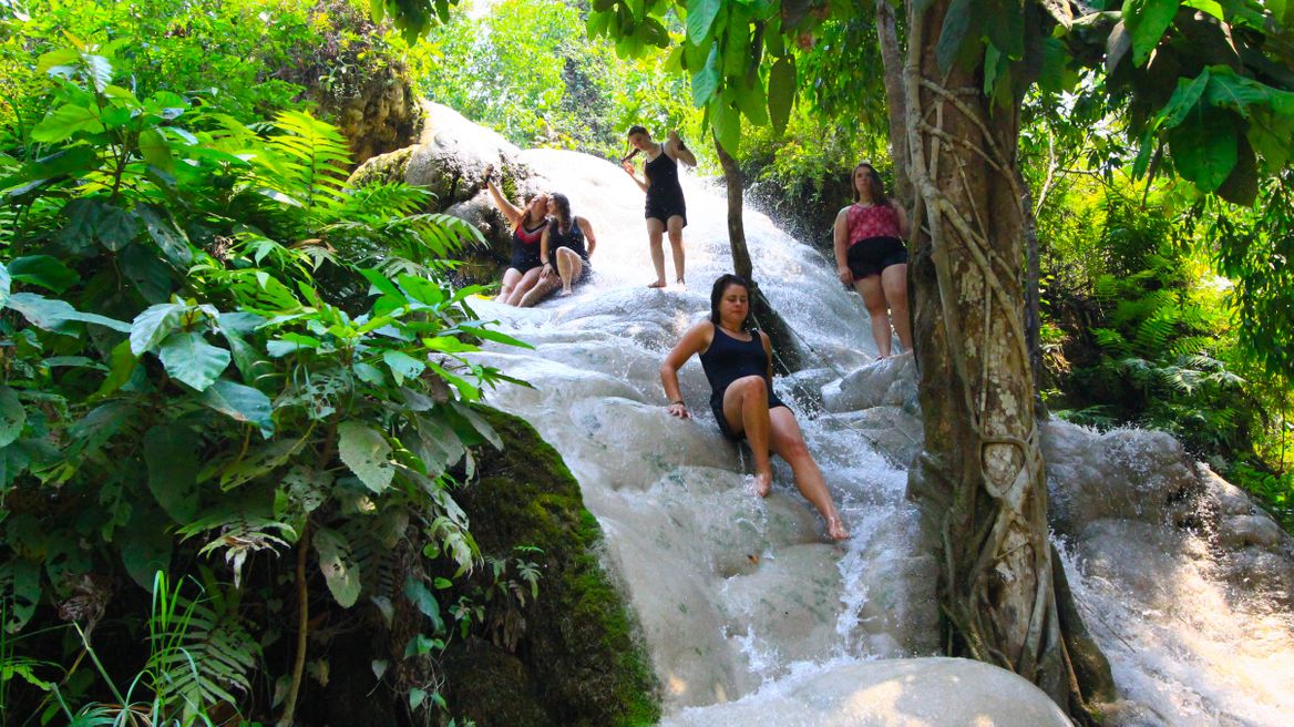 Bua Tong Sticky Waterfall Tour