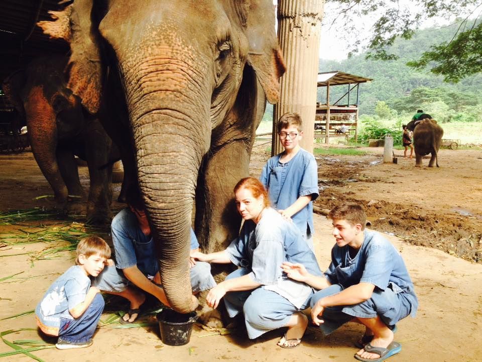 Ethical Elephant Day Care in Chiang Mai