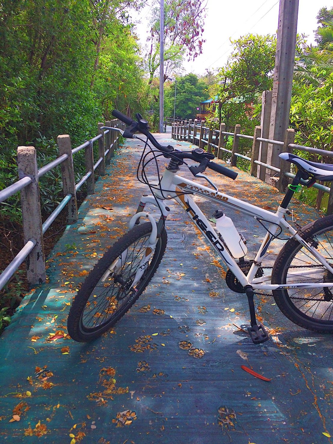 Take A Bike Tour With Local In Bang Krachao The Urban Oasis TakeMeTour