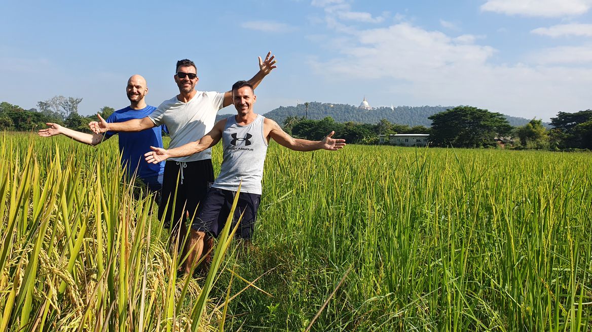 Explore the rice fields