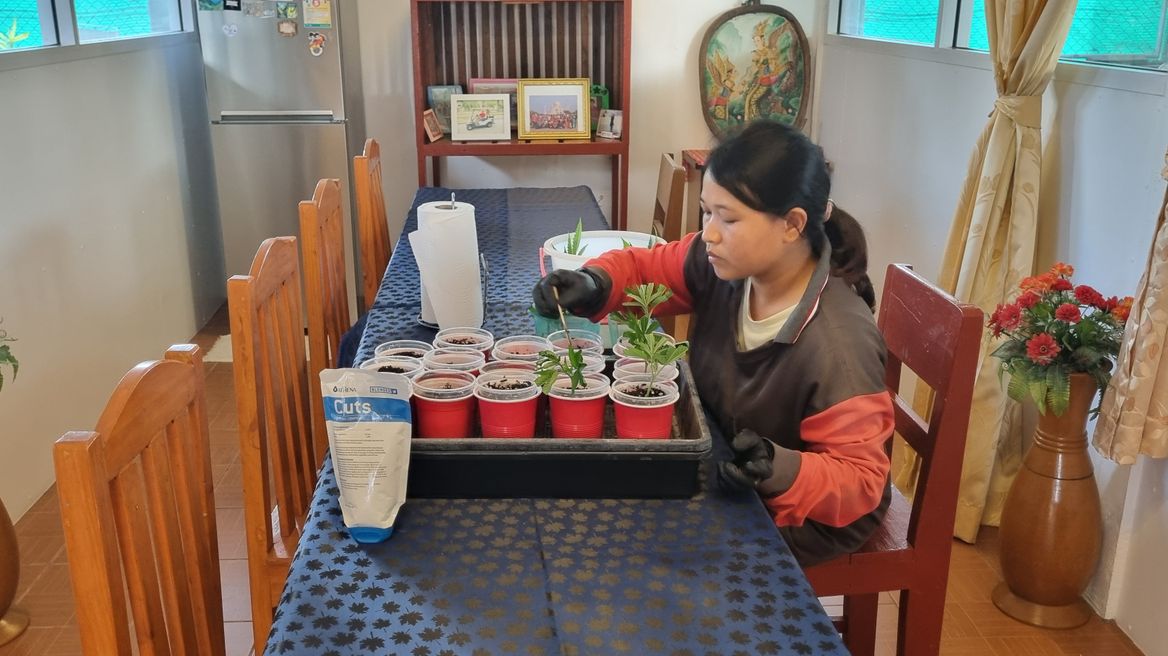 Making clones