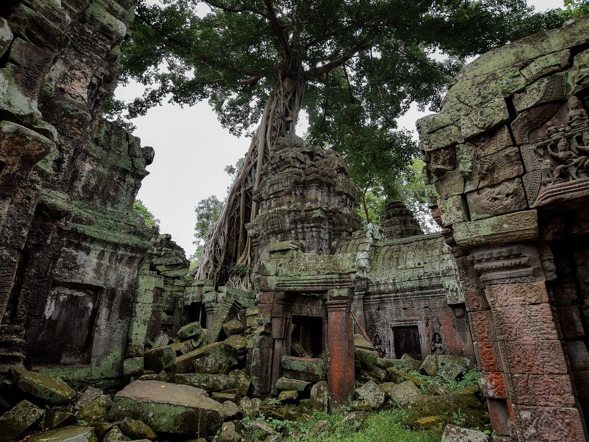 ta prohm temple cambodia siem reap
