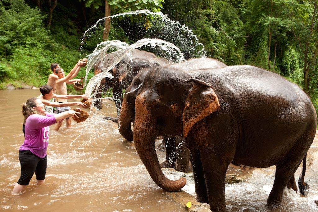 visit elephant sanctuary thailand