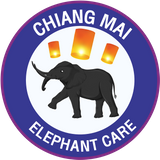 CHIANGMAI ELEPHANT CARE ..