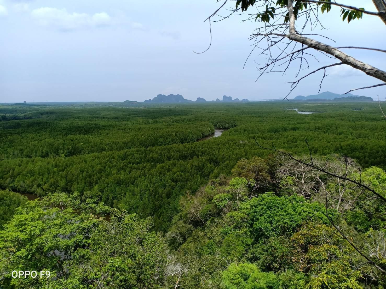 ชุมชนบ้านน้ำราบ