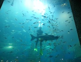 The Highlights of Nong Khai: A Day Trip You Shouldn't Miss!