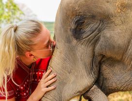Care for Elephants the Ethical Way at Elephant Sanctuary, Phuket