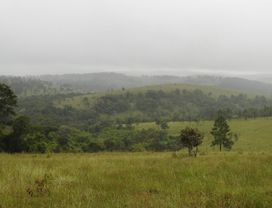 Half-Day Mondulkiri Sightseeing