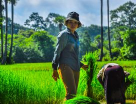 Off the Beaten Track in Siem Reap (Half-Day: Morning)