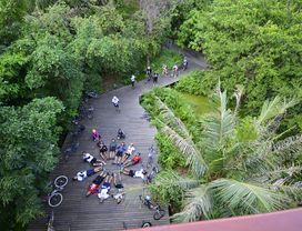 Bike Tour of Bangkok’s Green Lung : Bang Krachao