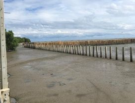 Explore the Village of Nature Conservation on a Small Island Near Bangkok 