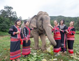 Meeting the Baby Half Day Ele-Fun Care & Buffet