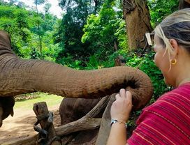 Elephant Sanctuary+ATV+Whitewater Rafting(Joined)