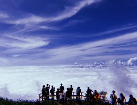 Inthanon National Park with Kew Mae Pan Nature Trail (2 Hrs. Trekking) 