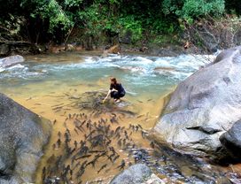 Explore Chantaburi in a Day : City Tour, Jewelry Market ,and Waterfall!