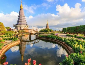 One Day Trekking at Doi Inthanon National Park