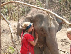 Let's Care for Elephants and Visit Doi Inthanon! 