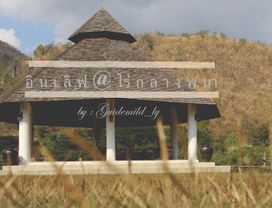 Fall in Love at Roses for Half a Day in Khao Yai